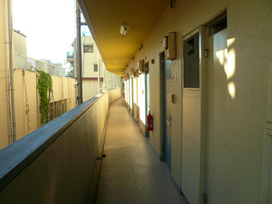 P1100516.jpg