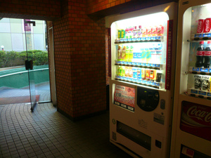 P1100519.jpg