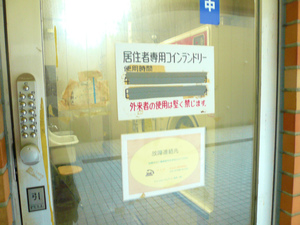 P1100520.jpg