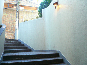 P1100521.jpg