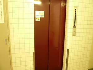 P1100534.jpg