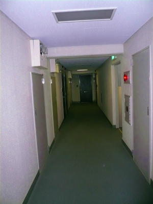 P1100541.jpg