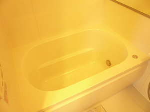 P1100553.jpg