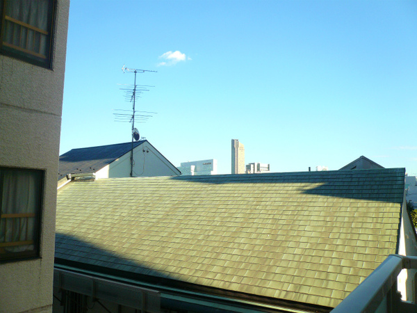 P1100560.jpg