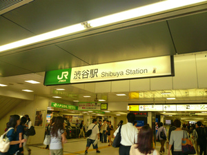 P1100600.jpg