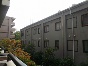 P1100647.jpg