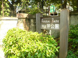 P1100718.jpg