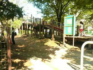 P1100719.jpg
