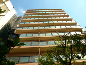 P1100730.jpg