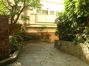P1100734.jpg