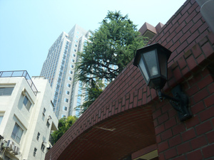P1100736.jpg