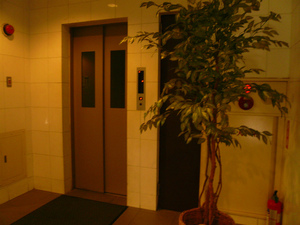 P1100740.jpg