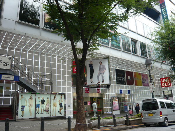 P1100768.jpg