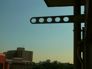 P1100796.jpg