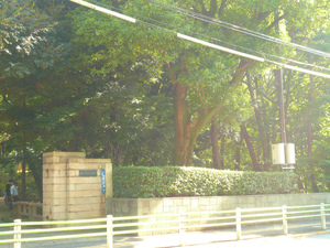 P1100810.jpg