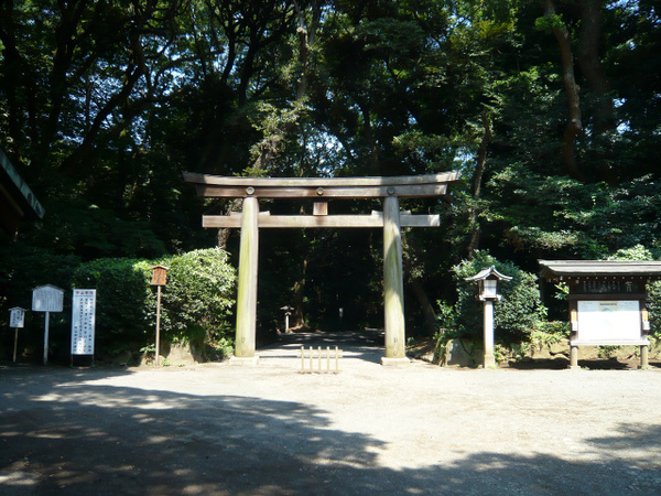 P1100821.jpg