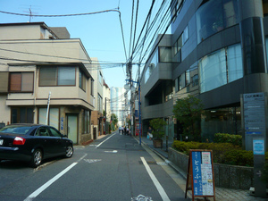 P1100828.jpg