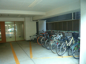 P1100832.jpg