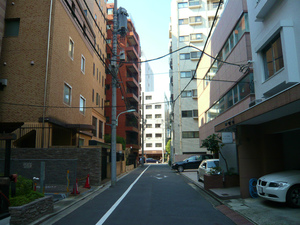 P1100838.jpg