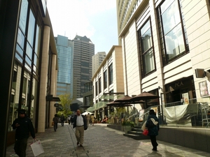 P1100845.jpg