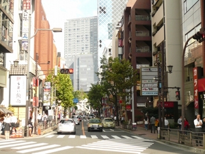 P1100846.jpg