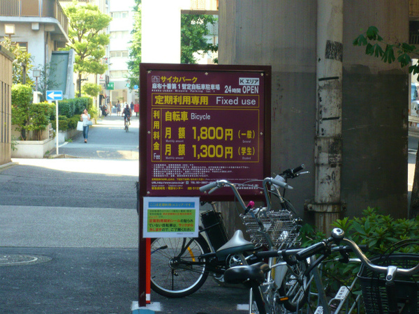 P1100850.jpg