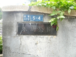 P1100851.jpg