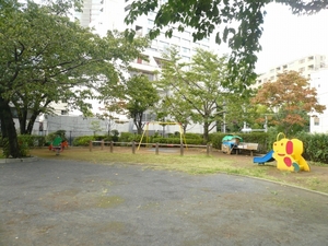 P1100853_2.jpg