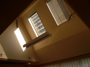 P1100865.jpg