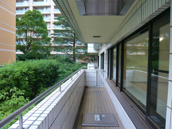 P1100878.jpg