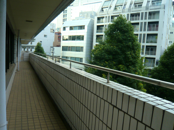 P1100879.jpg