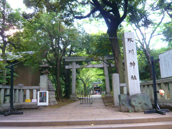 P1100909.jpg