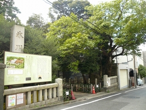 P1100914_2.jpg