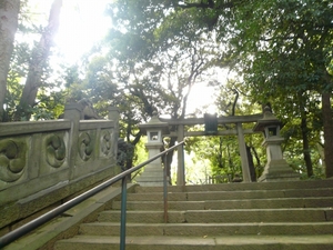 P1100916.jpg