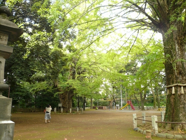 P1100923.jpg