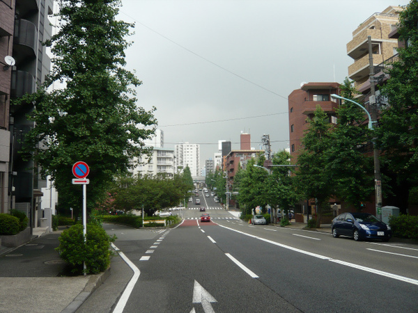 P1100953.jpg