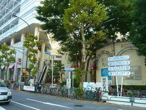P1110174.jpg