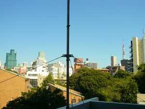 P1110186.jpg