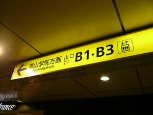 P1110208.jpg