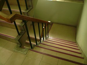 P1110263.jpg