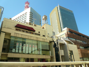 P1110394.jpg