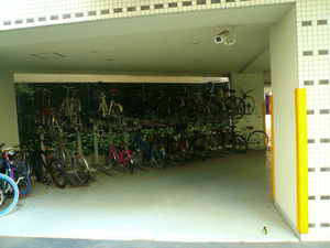 P1110443.jpg