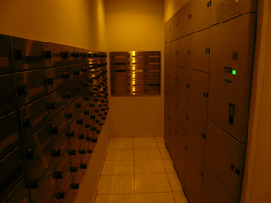 P1110453.jpg