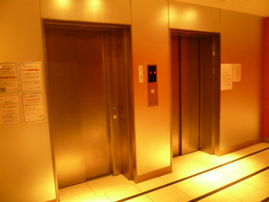 P1110458.jpg