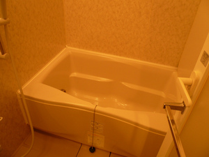 P1110474.jpg