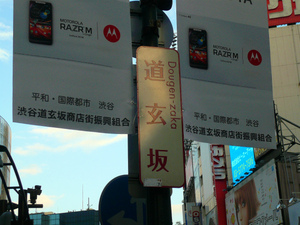 P1110532.jpg