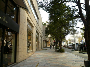 P1110592.jpg