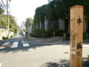 P1110637.jpg