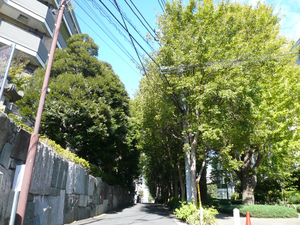 P1110643.jpg