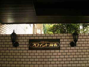 P1110652.jpg